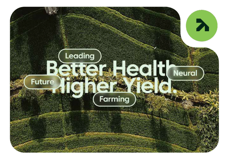 Commitment to Quality and Compliance